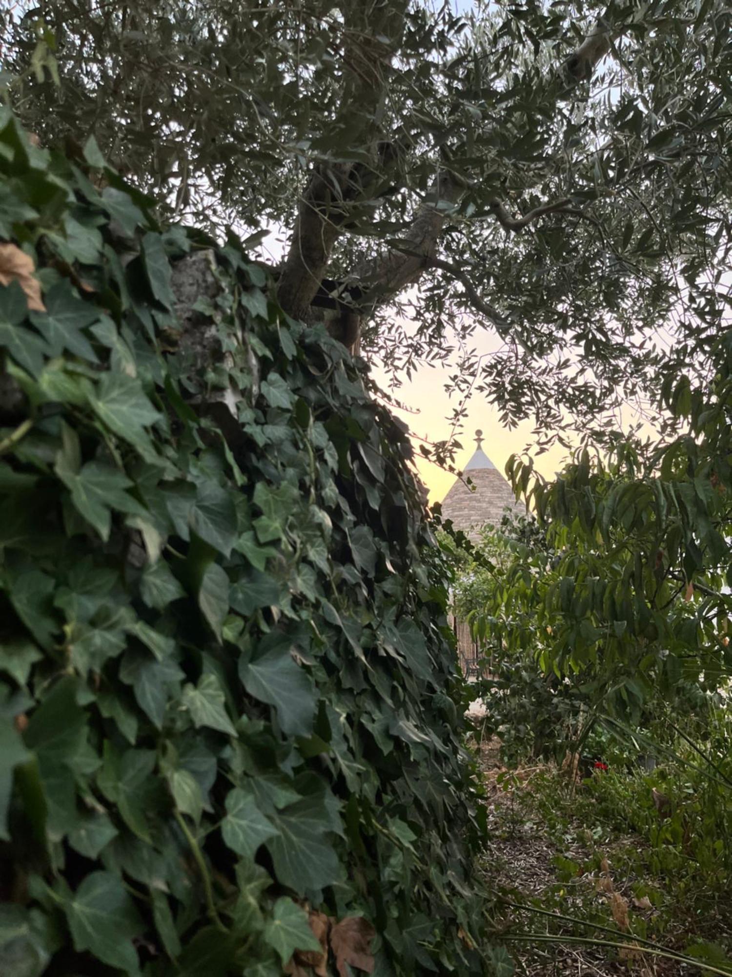 לוקורוטונדו Borgo Miceli Da Giovanni מראה חיצוני תמונה