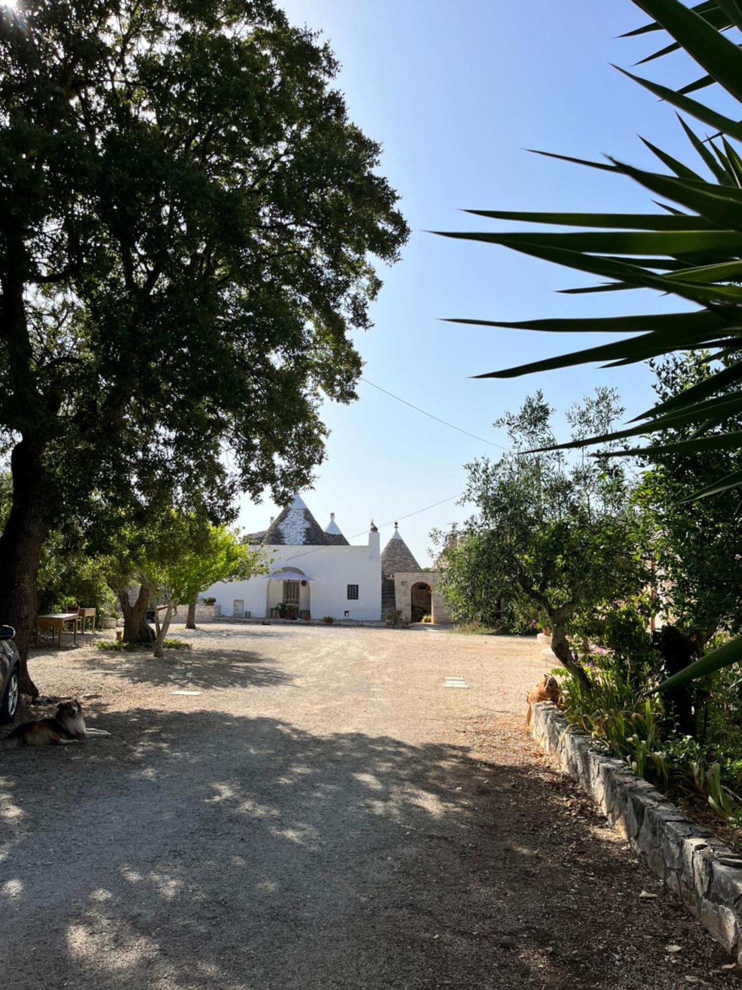 לוקורוטונדו Borgo Miceli Da Giovanni מראה חיצוני תמונה
