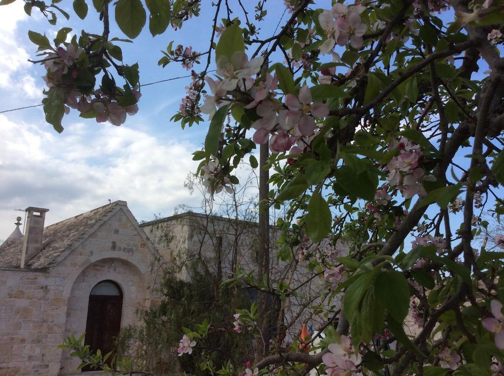 לוקורוטונדו Borgo Miceli Da Giovanni מראה חיצוני תמונה